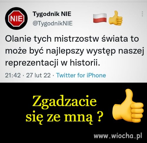 Najlepszy występ naszej reprezentacji 