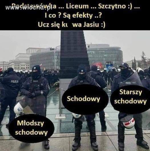 Wykształcenie przede wszystkim