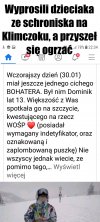 Wyprosili dzieciaka ze schroniska 