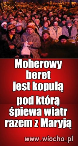 Podgrzybki