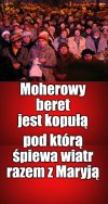 Podgrzybki