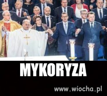 Grzybnia