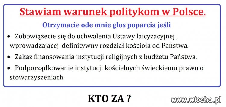 Czy znajdzie się taka partia ?