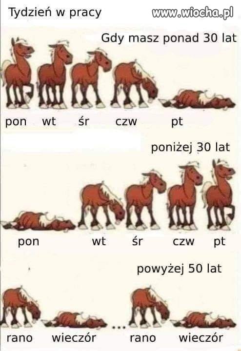 Grafika