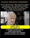 Niedaleko pada jabłko od jabłoni - Przysłowia polskie