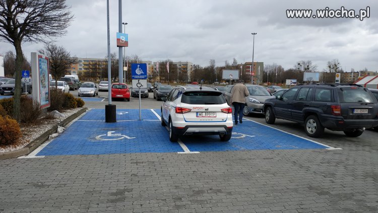 Szlachta