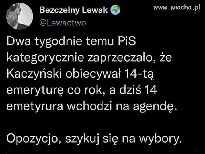 Idą wybory 