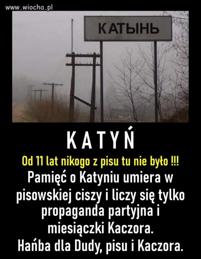 Bez komentarza 