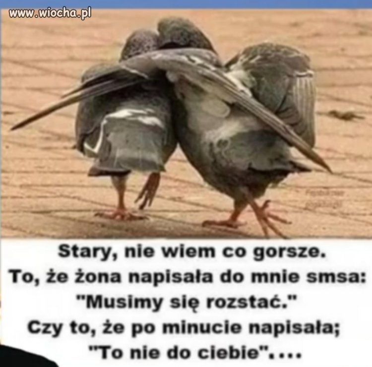 To nie do ciebie