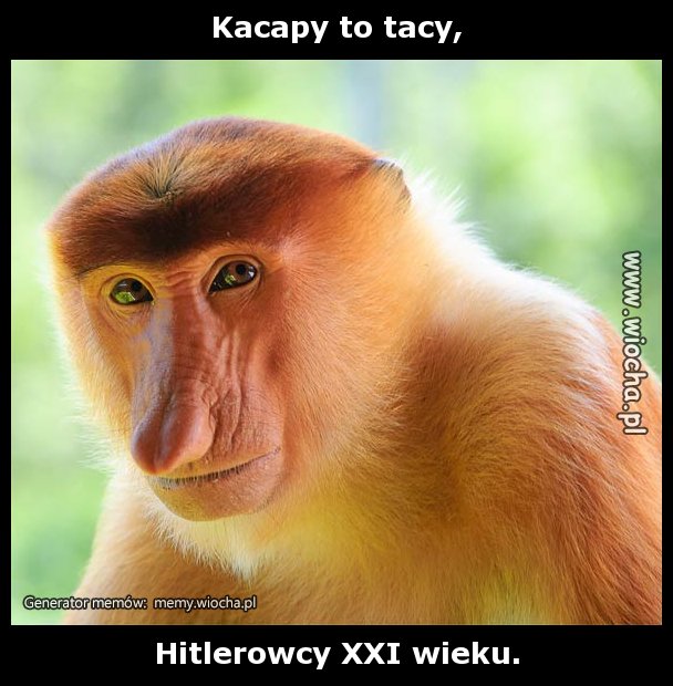Kacapy to tacy,