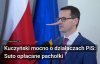 Ani jedno słowo nie jest przesadzone, PiS kupil wladze!