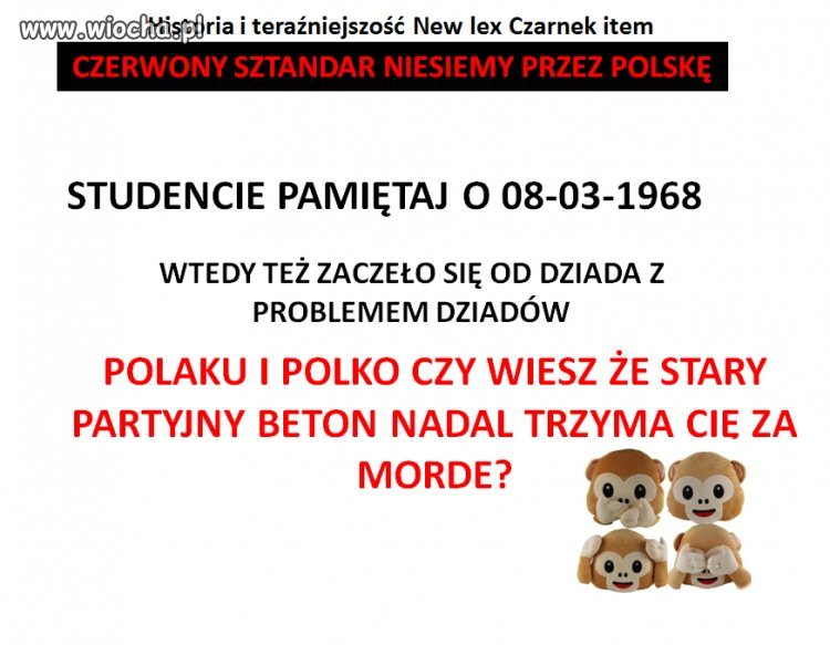 Studencie