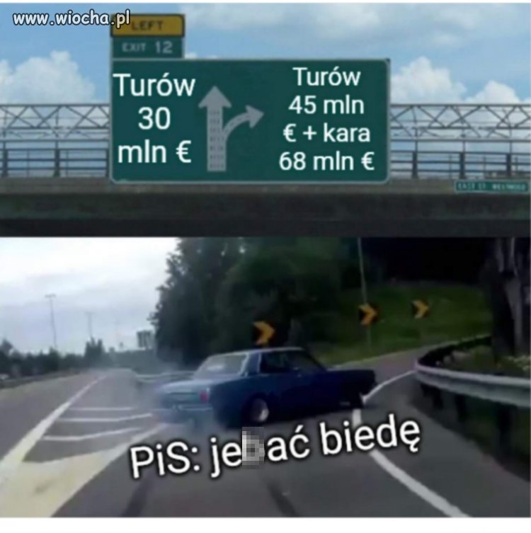 Pisy wiedzą lepiej