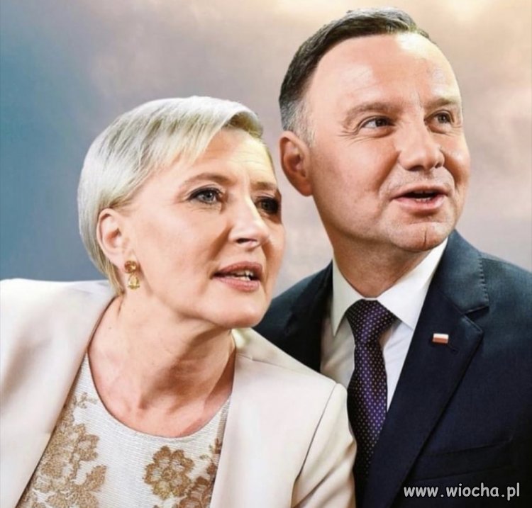 Mój sokole tak niewładny