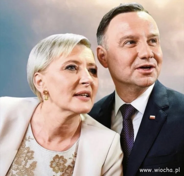Mój sokole tak niewładny