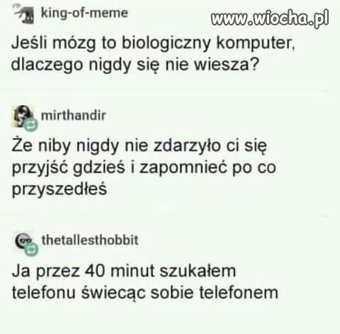 Rozum też się zawiesza