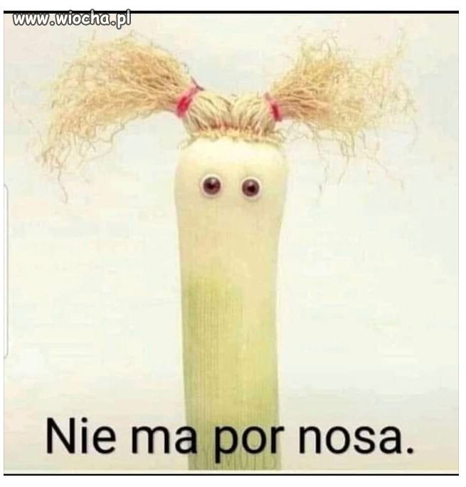 Niestety