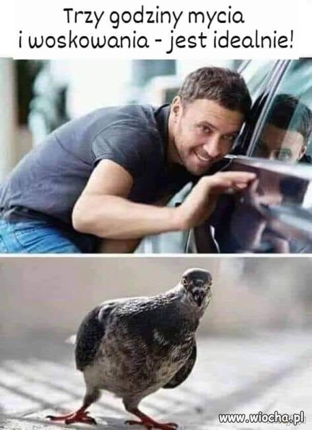 Tak to wygląda
