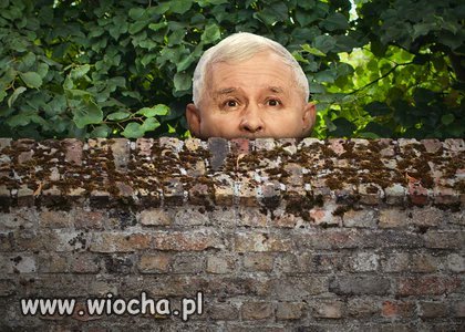 Tymczasem w bunkrze...