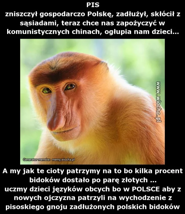 PIS
