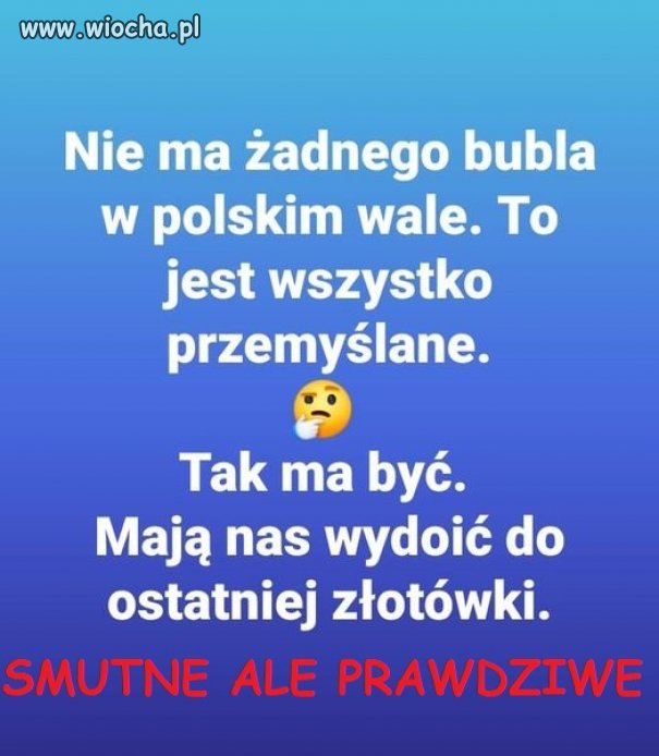100%