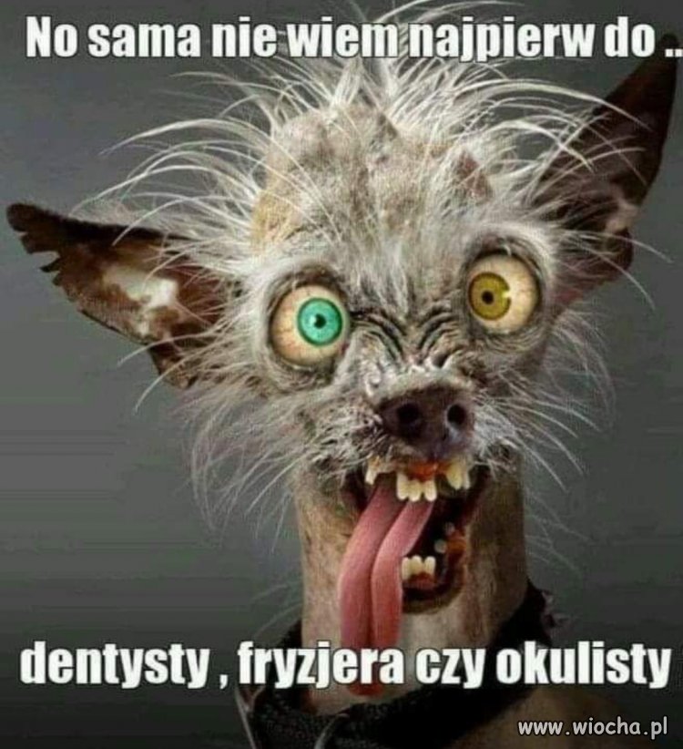 Heheszki