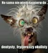 Heheszki