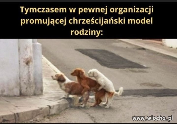 Zbędny 