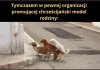 Zbędny 