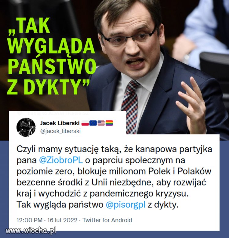 Państwo z dykty. 