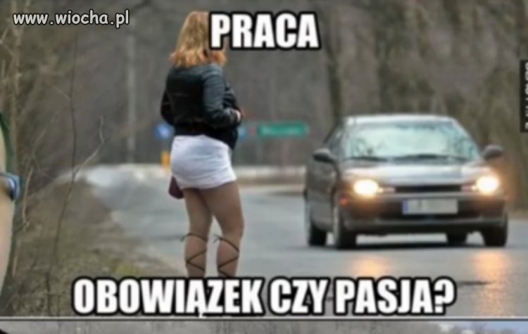 Zapytanie?