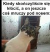 Heheszki