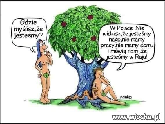 Prawdziwy raj 