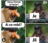 Sobie pogadali