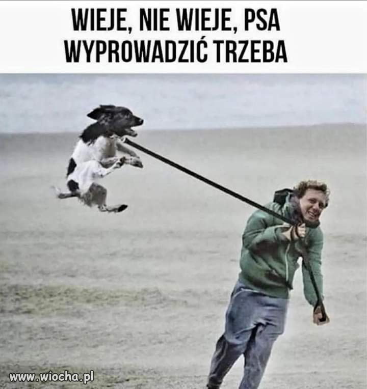 No trzeba. 