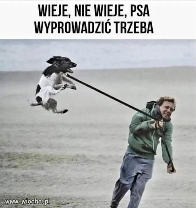 No trzeba. 
