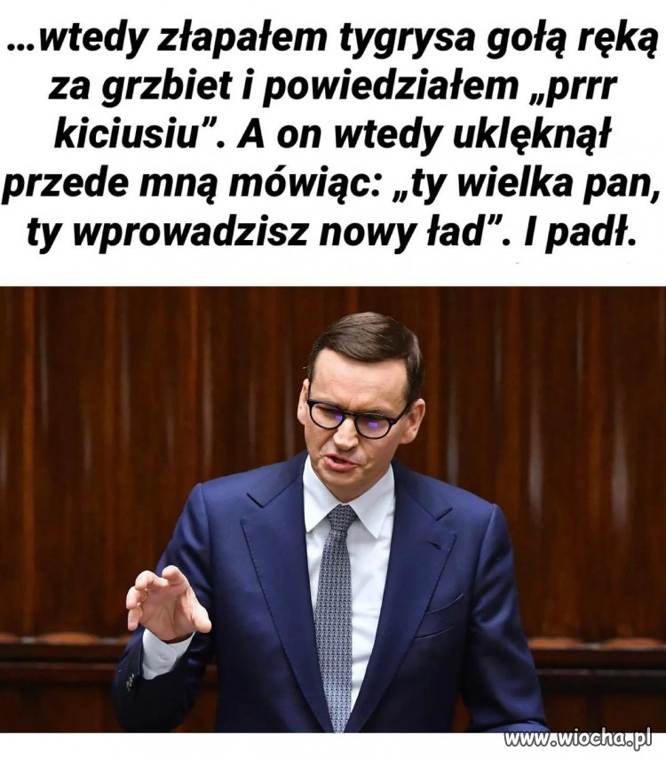 Wszelkie podobieństwo do zdarzeń i osób jest przypadkowe