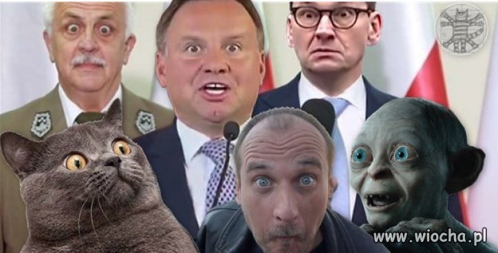 Czy te oczy mogą kłamać?