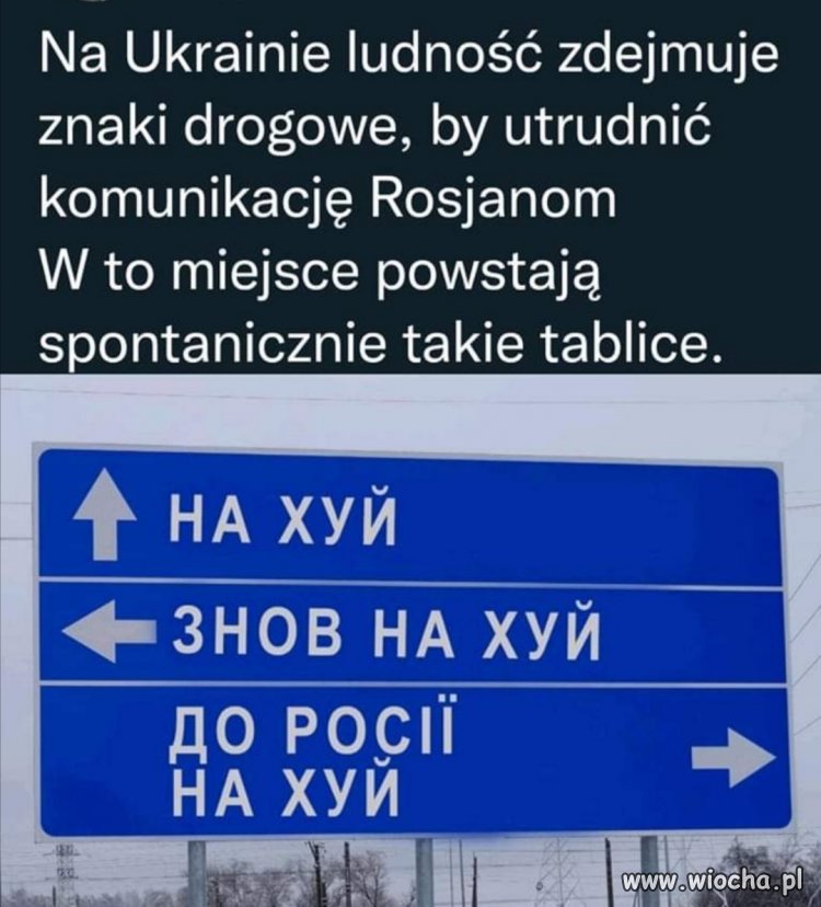 Tak powinni zrobić