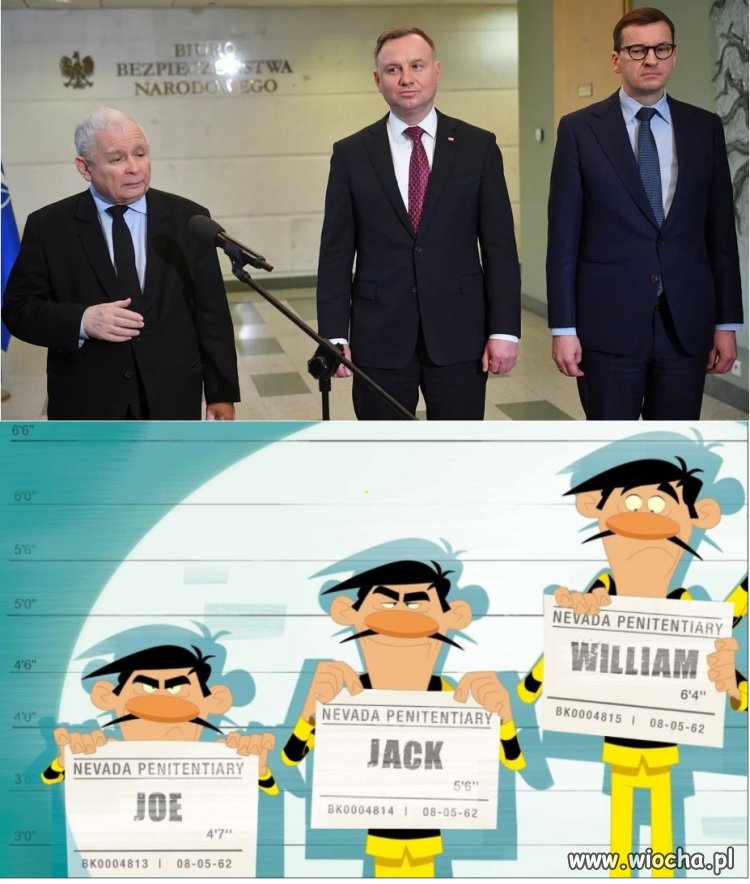 Oni też mają zebranie!   