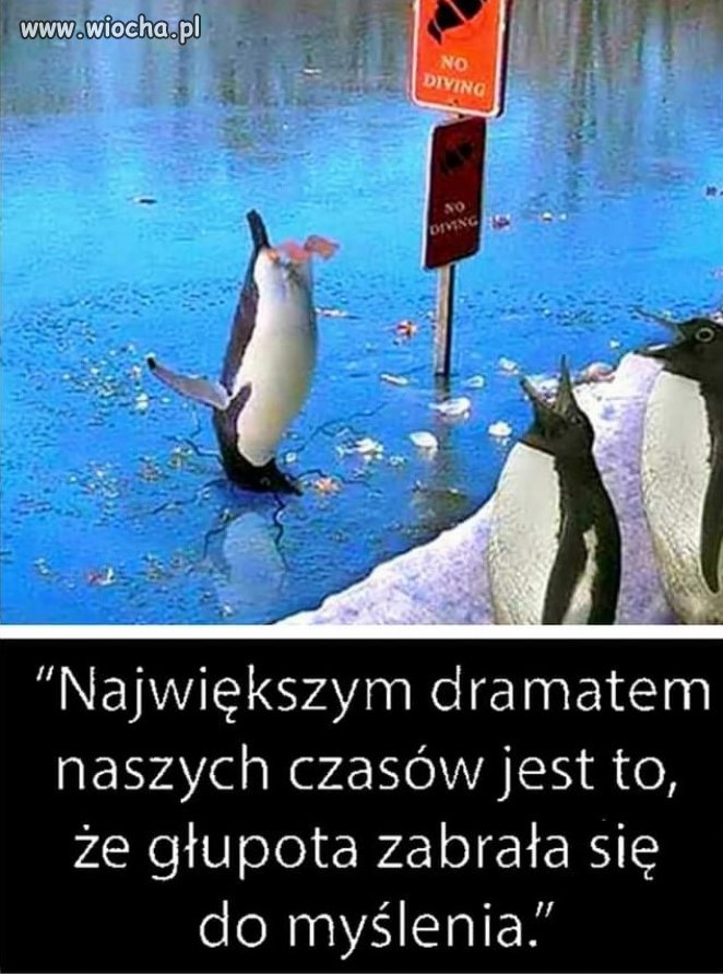 Głupota...  naszych czasów