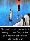 Głupota...  naszych czasów