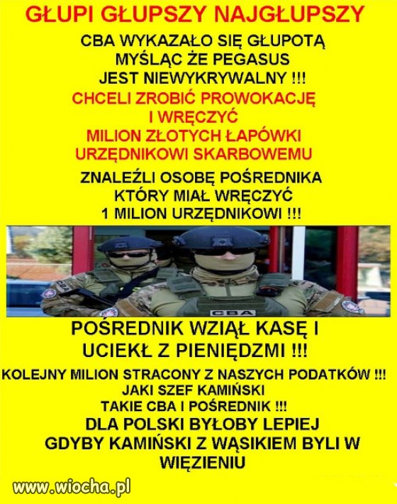 Głupi, głupszy, najgłupszy... to standard rządu PiSu!