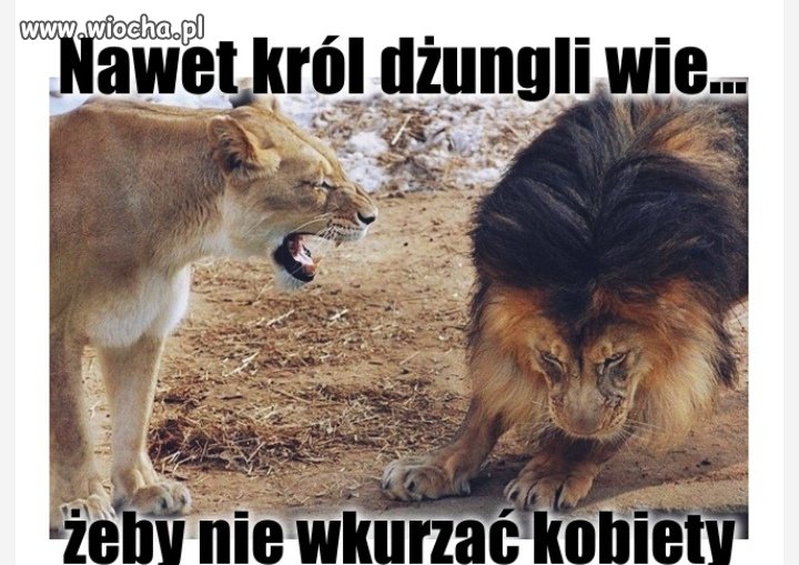 Zbędny 