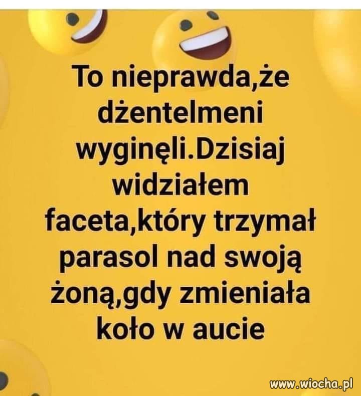 Dżentelmeni wyginęli 