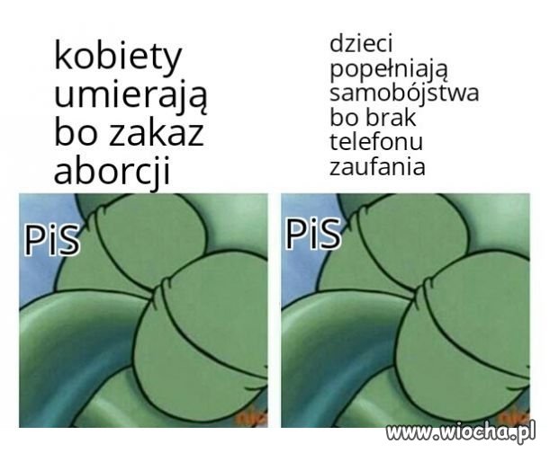 Nowy Ład wg pisu