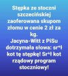 Srał kot pis. 