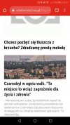 Profilowanie reklam