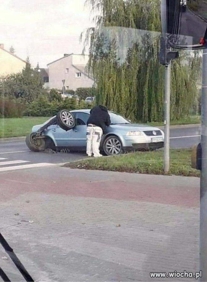 Spokojnie, wyklepie się