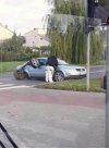 Spokojnie, wyklepie się